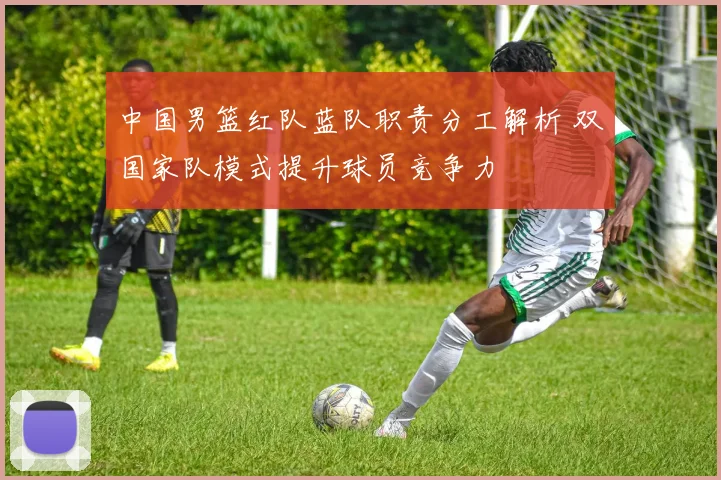 中国男篮红队蓝队职责分工解析 双国家队模式提升球员竞争力