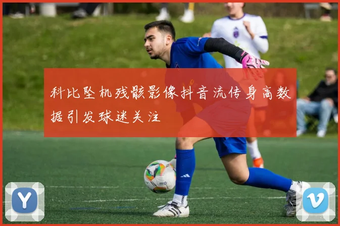 科比坠机残骸影像抖音流传身高数据引发球迷关注